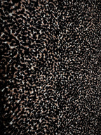 Cheetah Printed Shirt