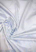 Blue & White Dual Striped Shirt